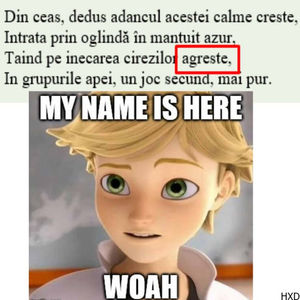 Adrien Agreste peste tot =]]; daca stiti de Miraculous Ladybug o sa intelegeti =))
