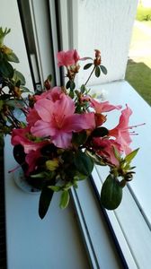 P_20170409_141651_1_NT_p