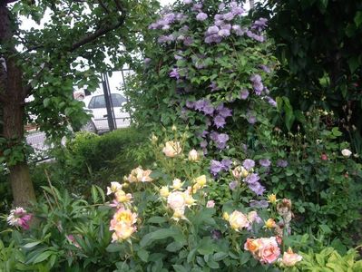 IMGP0629
