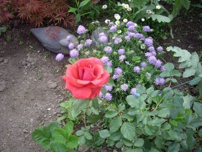 IMGP0635