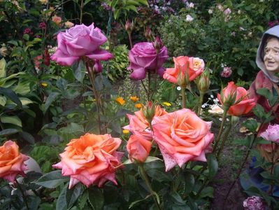 IMGP0650