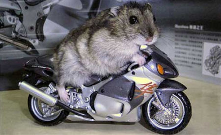 mini-motor-mouse