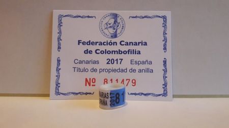 ESPANA 2017 CANARIAS FCC CIP