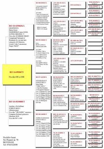 Topala-Marian-RO-0500673-2014-F-pedigree