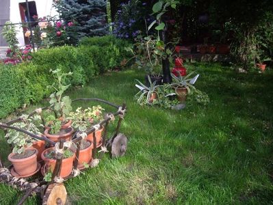 IMGP0806