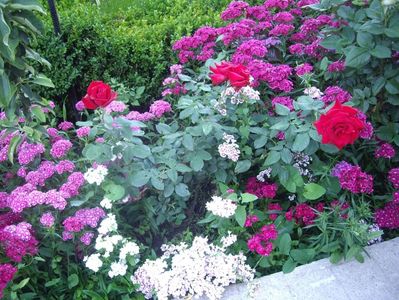 IMGP0814