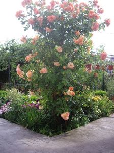 IMGP0756