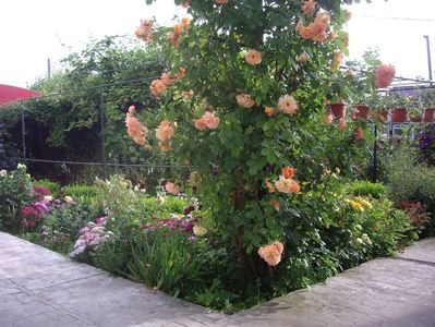 IMGP0757