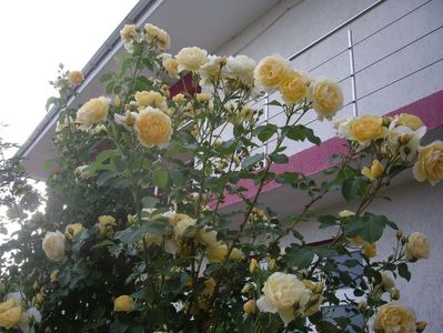 IMGP0759