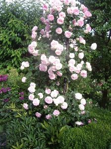 IMGP0764