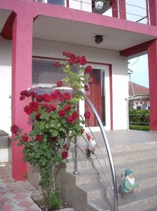 IMGP0767