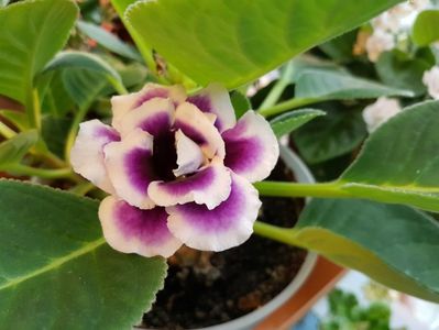 20170609_100632[1]