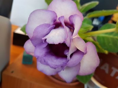 20170609_100600[1]