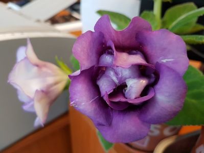 20170609_100553[1]