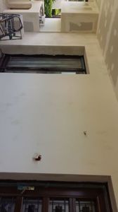 IMG-20170609-WA0008