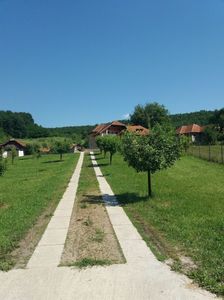 poze 045