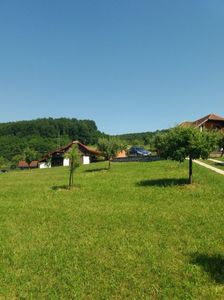poze 048