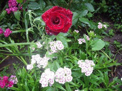 IMGP0842