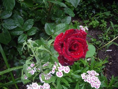 IMGP0844