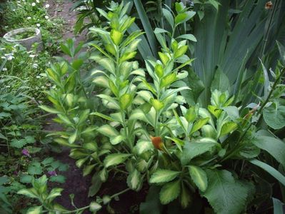 IMGP0857