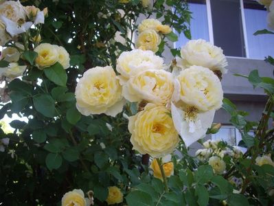 IMGP0938