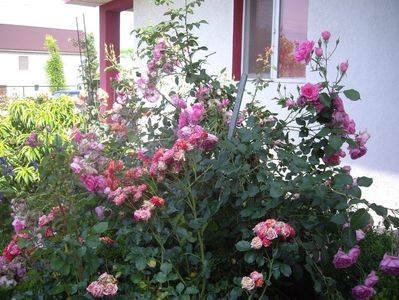 IMGP0940