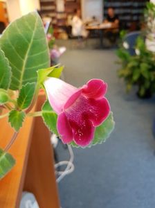 20170613_141858[1]