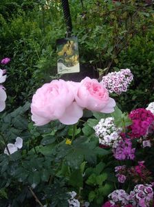IMGP0982