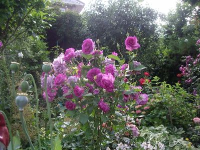 IMGP0998