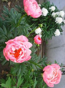 Photo0405