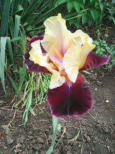 Photo0408