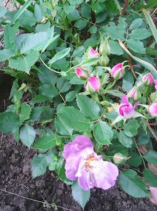 Photo0410