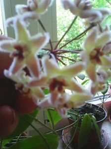 Photo0411