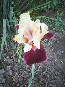 Photo0413