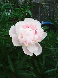 Photo0425