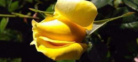 received_10213202344921266
