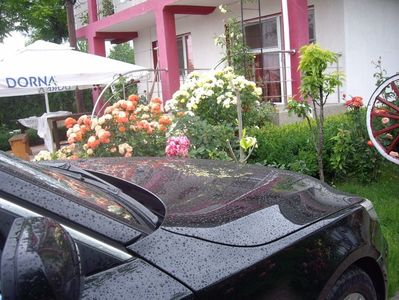 IMGP1057