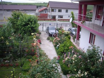 IMGP1143