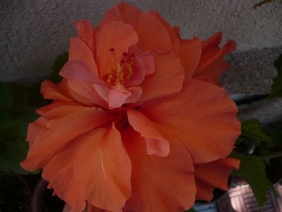 P1330059