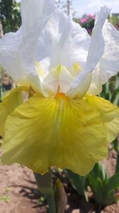 20170601_113848(0)