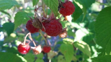 20170619_185558(0)