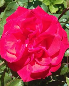 20170613_160008-1