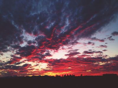 about the world by eating acid and swallowing pills. Tell me what your church has done for you?; Tell me if you have holes in your mouth from speaking lies? Wanna know the f♡cking truth? Pity is just another word for pathetic. Drink beer and watch the sunrise from every rooftop. Take photographs 

