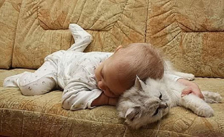 somn ușor, vise plăcute, purecii să vă sărute!!