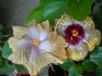 P1330470