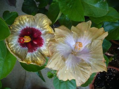 P1330472