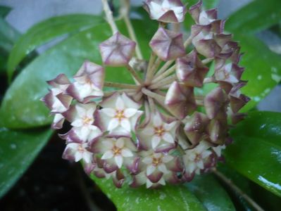 P1330534