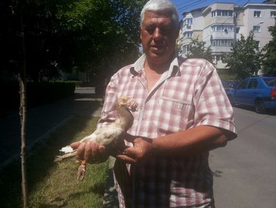 IMG-20170708-WA0006