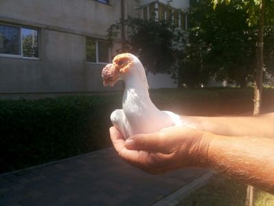 IMG-20170708-WA0001