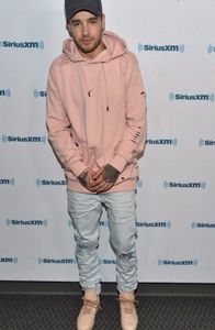 Liam-Payne-@realdailypayne-2017-05-17_L0VuQjdXUmNNX09DUlM5WXVfRURwd29VUjdSST0vMHg0Mzo0ODN4NzY4LzQwMH